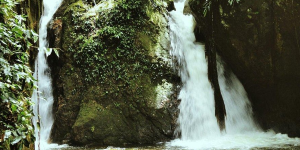CACHOEIRA INDIANA JONES