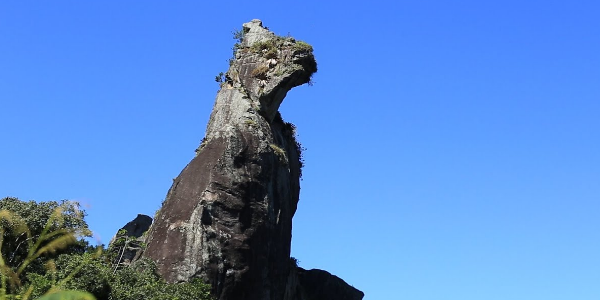 CÃO SENTADO NOVA FRIBURGO