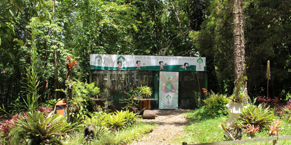 Parque Municipal Juarez Frotté (Parque do Cascatinha)
